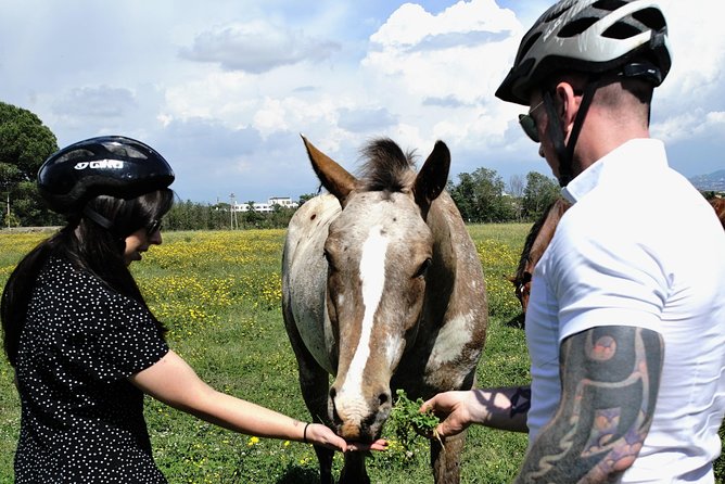 Rome EBike Tour: Appian Way, Catacombs & Roman Aqueducts - Caracalla Baths and the Roman Countryside