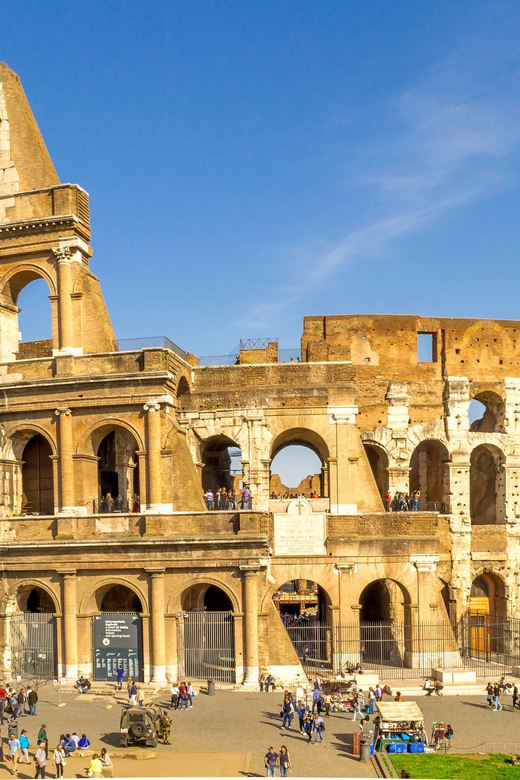 Rome: Exclusive Colosseum Underground and Arena Guided Tour - Palatine Hill and the best Colosseum views