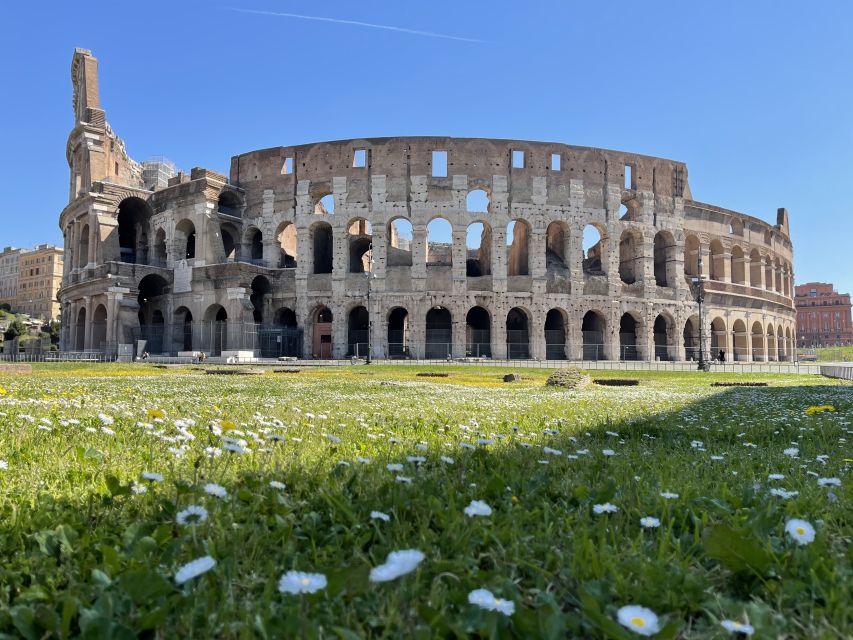 Rome: Guided Tour of the Colosseum Underground - Why the Colosseum Underground changes the visit