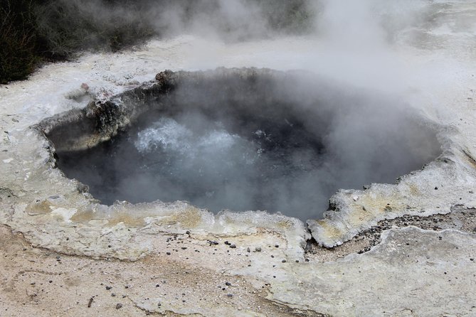 Rotorua and Waitomo Caves Day Trip from Auckland -Smaller Groups - Is the $316.49 price fair?