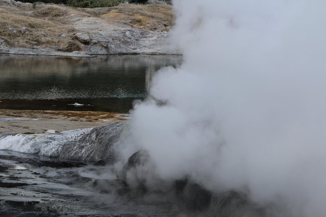 Rotorua and Waitomo Caves Day Trip from Auckland -Smaller Groups - Who should book this trip?