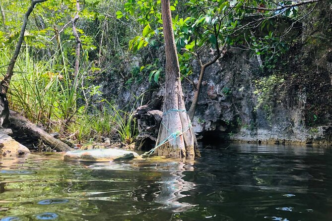 Sacred Adventure at Xenotes! 4 Different Cenotes + Round Transportation - What to pack for a wet, active day