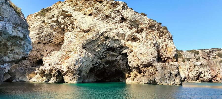 Sagres: Wildlife Tour Dolphins and Caves - A Wildlife Trip With a Cave Tour Built In