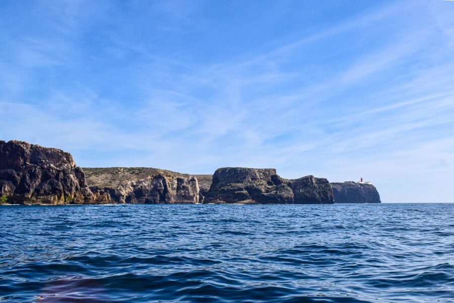Sagres: Wildlife Tour Dolphins and Caves - What the Marine Biologist Adds
