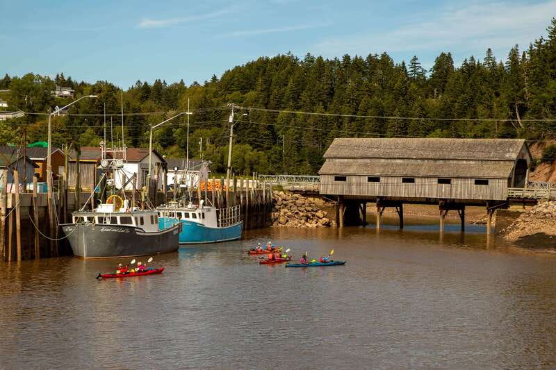Saint John: Guided Kayaking Tour of St. Martins Sea Caves - Key Points Before You Book
