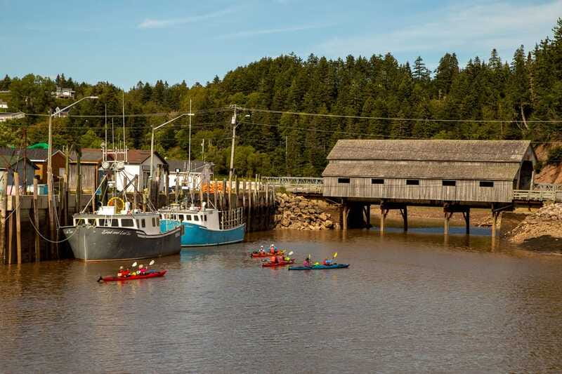 Saint John: Guided Kayaking Tour of St. Martins Sea Caves - Timing, Transport, and What to Pack