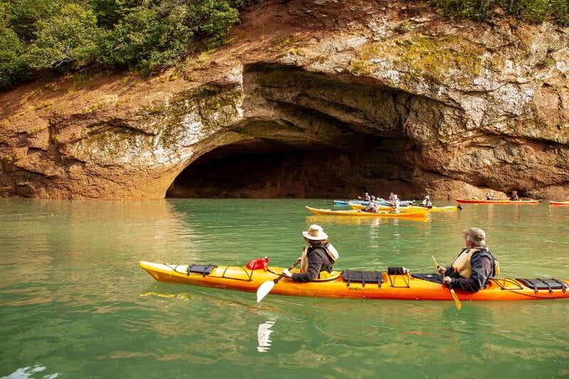 Saint John: Guided Kayaking Tour of St. Martins Sea Caves - Wildlife and the Fundy Coastal Ecosystem