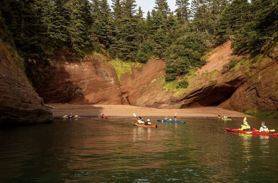 Saint John: Guided Kayaking Tour of St. Martins Sea Caves - Who Will Enjoy This Most
