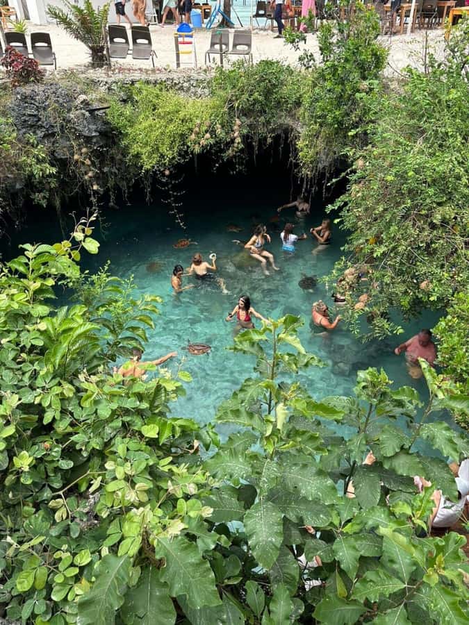 Salaam Cave Swimming & feeding Sea Turtles in Kizimkazi - How long do you really spend in the water?