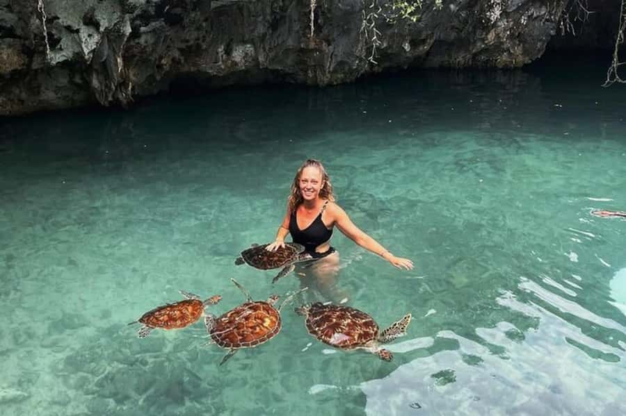 Salaam Cave Swimming & feeding Sea Turtles in Kizimkazi - Conservation information and ethical concerns