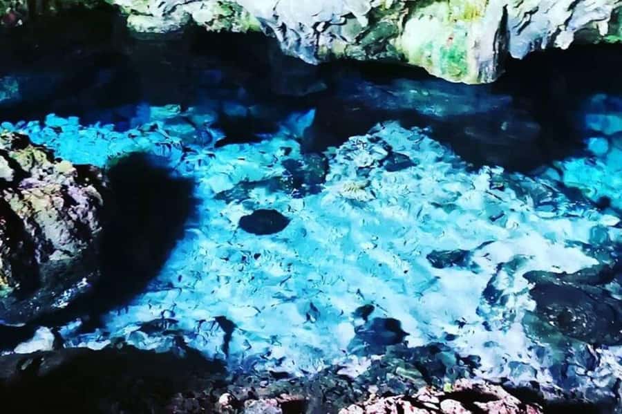 Salaam Cave Tour, Kuza Cave, Paje Beach, Lunch at The Rock - Kuza Cave is short, scenic, and easy to pair with other stops
