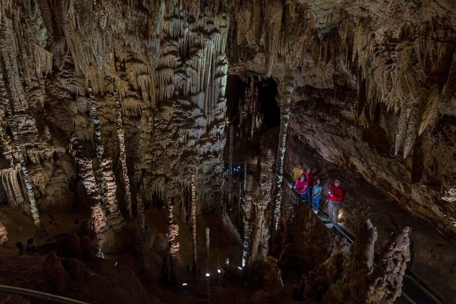 San Antonio: Discovery Tour at Natural Bridge Caverns - Key points to know before you go