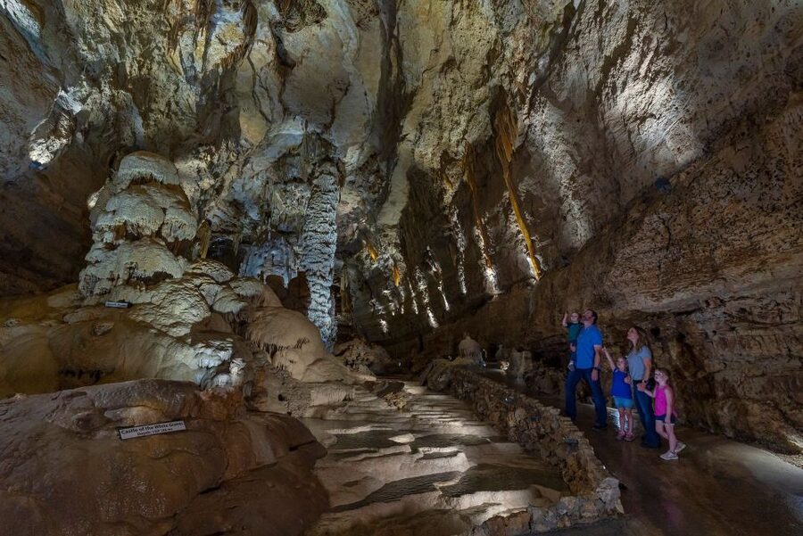 San Antonio: Discovery Tour at Natural Bridge Caverns - The descent, the climb, and the pace