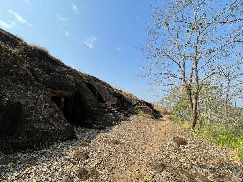 Sanjay Gandhi National Park + Kenheri Caves + Lion Safari - Transport, timing, and practical comfort