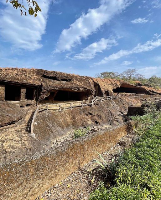 Sanjay Gandhi National Park + Kenheri Caves + Lion Safari - Who will get the most from this tour