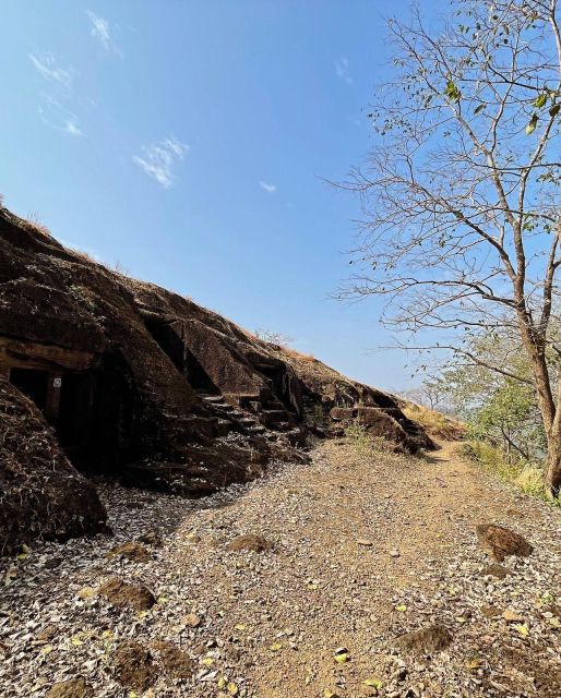 Sanjay Gandhi National Park + Kenheri Caves + Lion Safari - Starting at the Borivali entrance