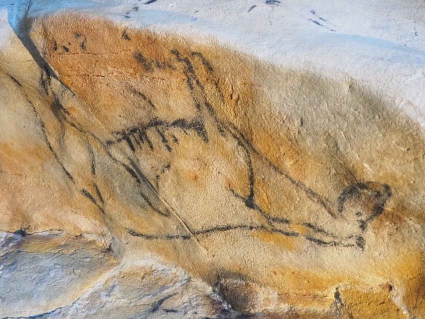 Santander: El Castillo Caves & Paleolithic Art Tour - Why these caves matter