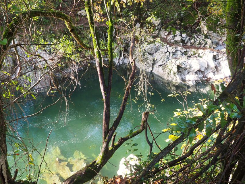 Santander: El Castillo Caves & Paleolithic Art Tour - The short walk to Las Monedas