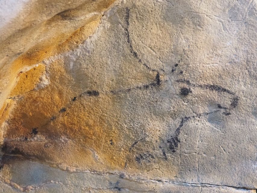 Santander: El Castillo Caves & Paleolithic Art Tour - Guides, translation, and group size