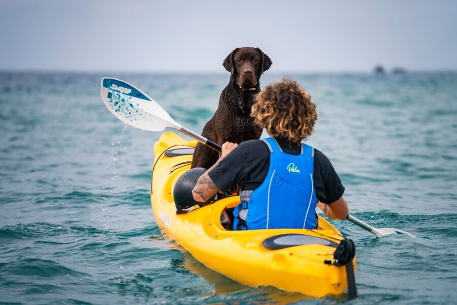 Santorini: Sea Caves Kayak Trip with Snorkeling and Picnic - Is $159 good value?