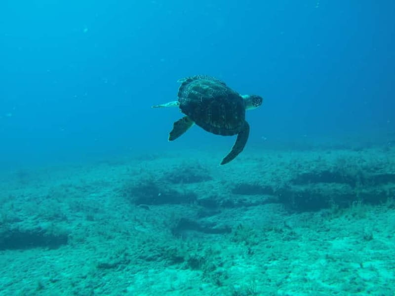 Scuba Diving - Tunnels & Caves - Cape Greco - private guided - Timing your Cape Greco visit carefully