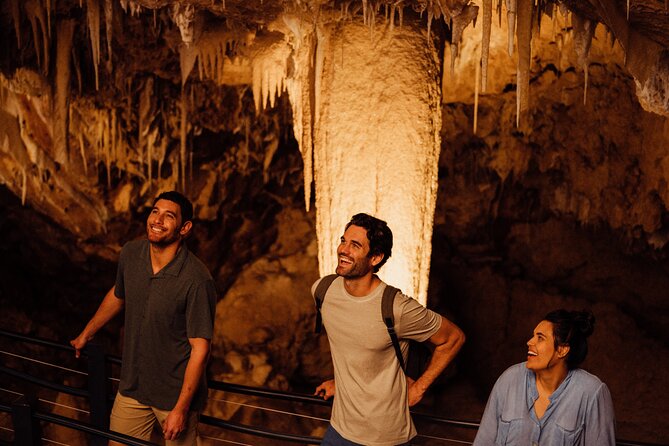 Self-Guided Ngilgi Cave Ancient Lands Experience - Starting above ground on the Ancient Lands Experience