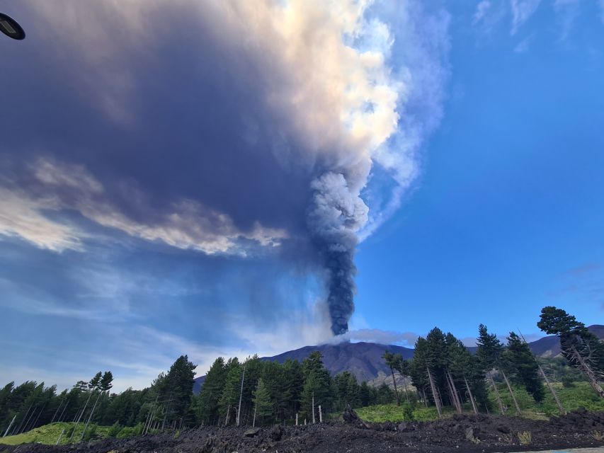 Sicily: Mount Etna 4x4 Jeep Tour with Lava Caves & Forests - Who should book this Etna experience