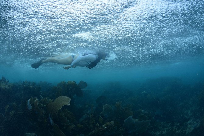 Snorkel, ATV, Zipline and Cenote Adventure from Cancun - Cenote swimming and the limestone setting