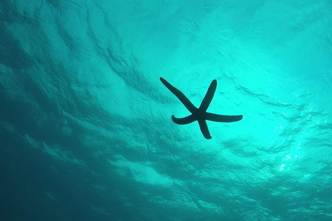 Snorkeling in the Blue Cave area【Okinawa Prefecture: Free feeding & photo images!English and Chinese speaking guide available! - How much time do you really get in the water?