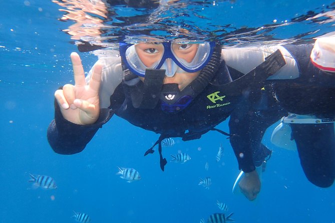 Snorkeling in the Blue Cave area【Okinawa Prefecture: Free feeding & photo images!English and Chinese speaking guide available! - Important health, age, and arrival rules