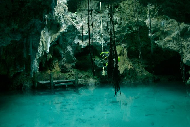 Snorkeling with Caribbean fish and private cenote exploration - Is $169 a fair price?