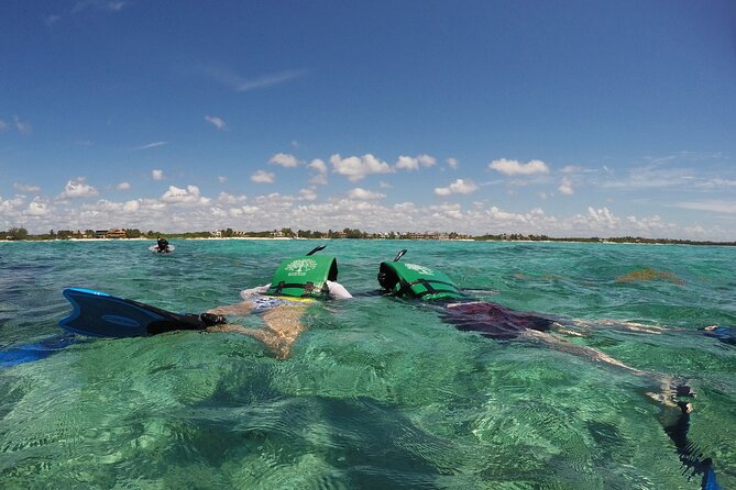 Snorkeling with Caribbean fish and private cenote exploration - Stop 1: sheltered snorkeling at Tankah