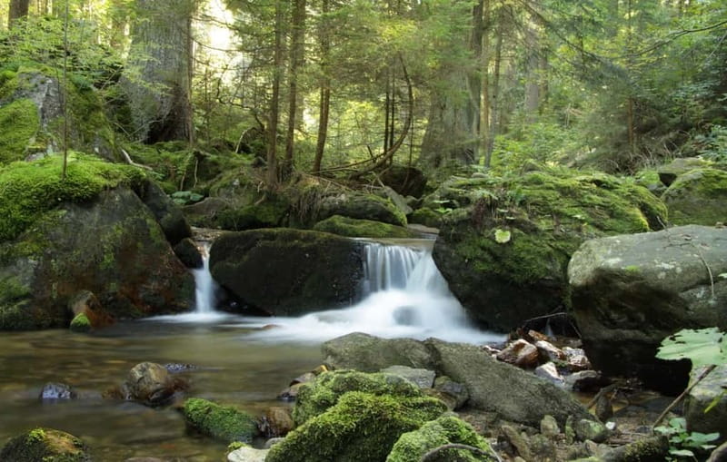 Sofia: Lovech, Devetaki Cave and Krushuna Waterfalls Tour - A full day from Sofia into Lovech Province