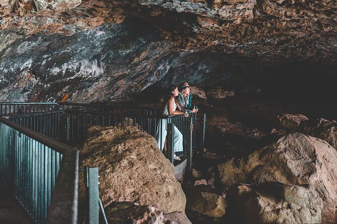 Springbrook andTamborine Rainforest Tour Incl Natural Bridge and Glow Worm Cave - Gallery Walk, lunch, and Tamborine Mountain