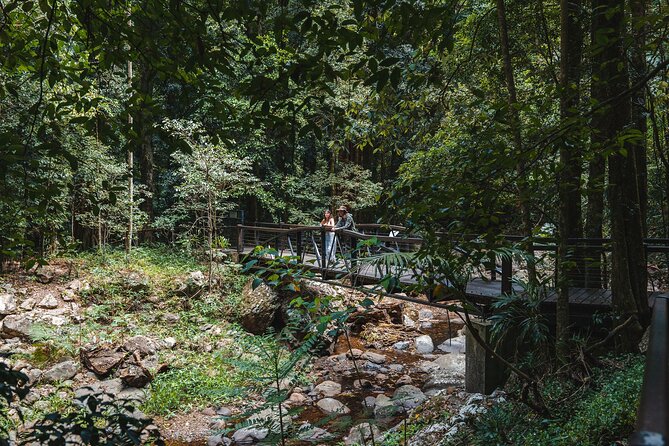 Springbrook andTamborine Rainforest Tour Incl Natural Bridge and Glow Worm Cave - A short stop at the Hang Glider Launch and Lookout