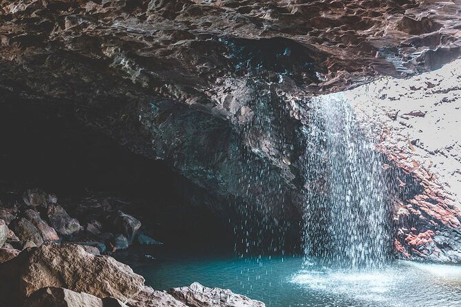 Springbrook andTamborine Rainforest Tour Incl Natural Bridge and Glow Worm Cave - What guides add to the experience