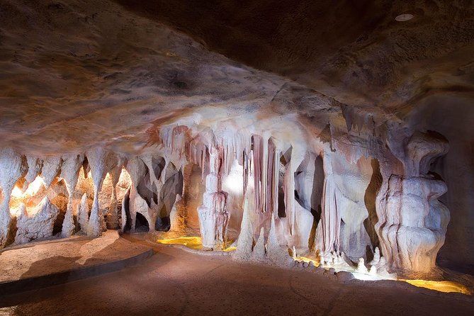 Springbrook andTamborine Rainforest Tour Incl Natural Bridge and Glow Worm Cave - Curtis Falls and the first rainforest walk