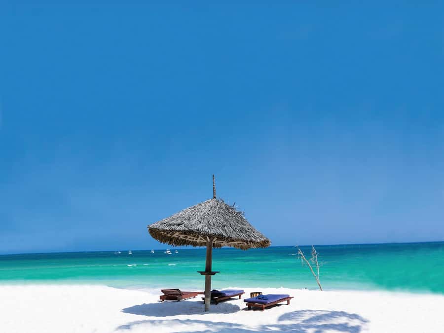 Swim with Sea Turtles, Kuza Cave, Paje Beach, The Rock Lunch - The Rock Restaurant and lunch costs