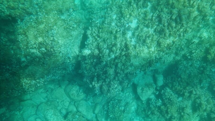 Syracuse: Coast and Sea Caves Full Transparent Boat Tour - Key points to know before boarding