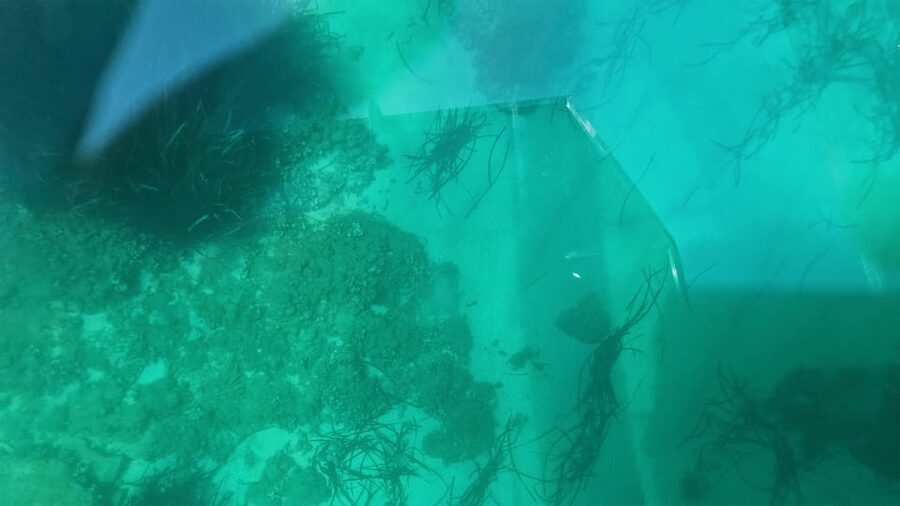 Syracuse: Coast and Sea Caves Full Transparent Boat Tour - Who should book this boat ride