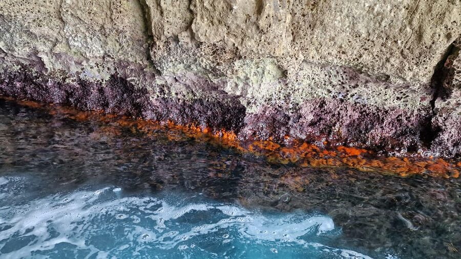 Syracuse: Picnic boat tour of Pillirina, Ortigia & sea caves - Leaving Ortigia for the caves