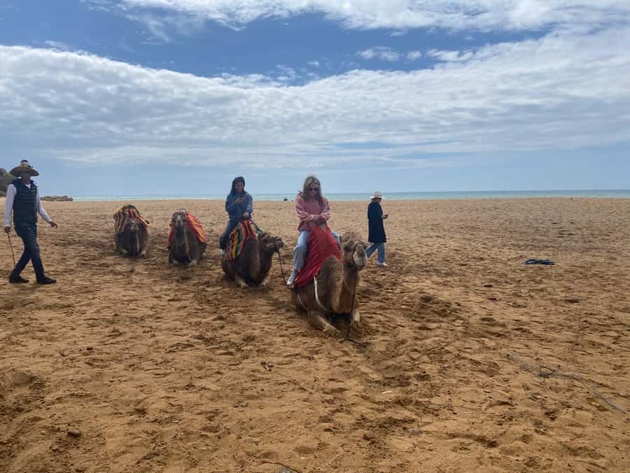 Tangier: Cap Spartel, Hercules Caves & Camel Riding - Who Will Enjoy This Tour Most?