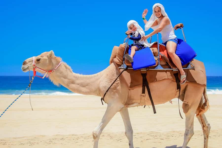 Tangier: sunset, tea, camel ride, Cape Spartel and caves. - The camel ride on Tangier Beach