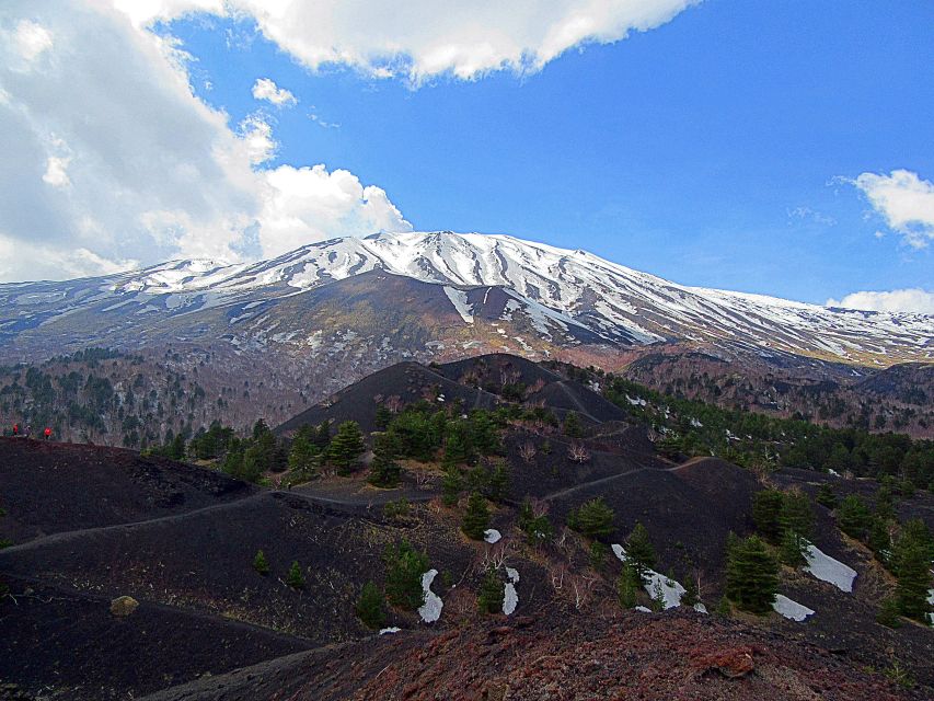 Taormina and Catania: Private Etna Exploration and Cave Tour - My verdict: book it for access, variety, and a personal guide