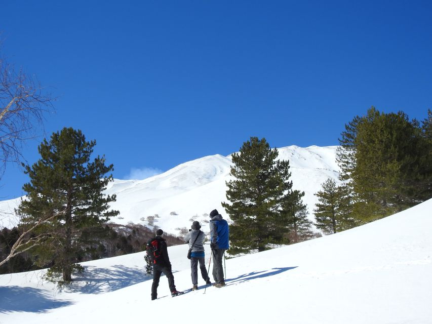 Taormina and Catania: Private Etna Exploration and Cave Tour - What makes the lava tube special