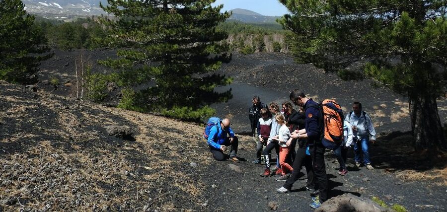 Taormina and Catania: Private Etna Exploration and Cave Tour - Is $509.78 good value for two people?