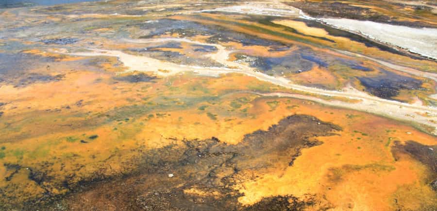 Taupo: Orakei Korako Geothermal Park and Cave Entry Ticket - How the visit unfolds from arrival to return