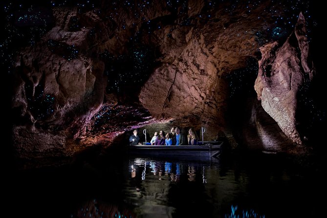 Te Anau Glow Worm Caves Tour - Key details before you book