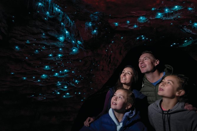 Te Anau Glow Worm Caves Tour - Why the Te Anau glowworm caves are worth your time