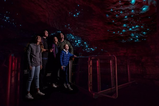 Te Anau Glow Worm Caves Tour - Crossing Lake Te Anau on the Luminosa